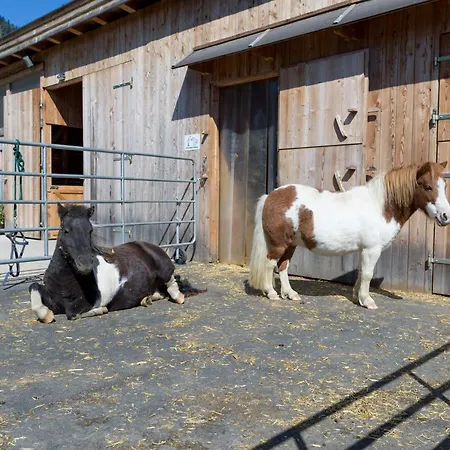 Apartamento Narzenhof Wellness Chalets, Familien & Luxus Am Bauernhof Sankt Johann in Tirol