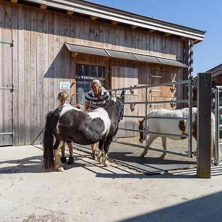 Narzenhof Wellness Chalets, Familien & Luxus Am Bauernhof *