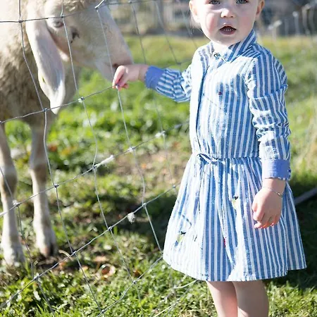 Narzenhof Wellness Chalets, Familien & Luxus Am Bauernhof Sankt Johann in Tirol