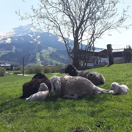 Narzenhof Wellness Chalets, Familien & Luxus Am Bauernhof Sankt Johann in Tirol