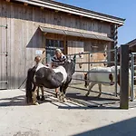 Narzenhof Wellness Chalets, Familien&luxus Am Bauernhof *