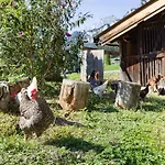Narzenhof Wellness Chalets, Familien & Luxus Am Bauernhof St. Johann in Tirol