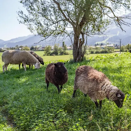 Narzenhof Wellness Chalets, Familien & Luxus Am Bauernhof Daire Sankt Johann in Tirol