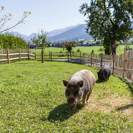 Daire Narzenhof Wellness Chalets, Familien & Luxus Am Bauernhof Sankt Johann in Tirol