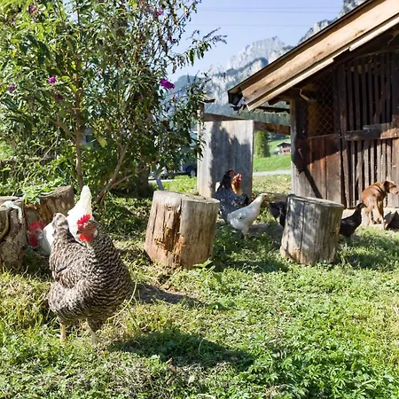 Narzenhof Wellness Chalets, Familien & Luxus Am Bauernhof Sankt Johann in Tirol