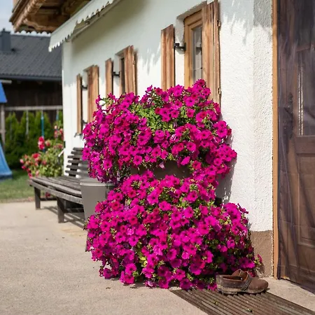 Narzenhof Wellness Chalets, Familien & Luxus Am Bauernhof Sankt Johann in Tirol